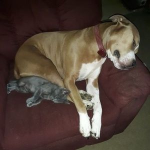 Meet your Posher, Lee